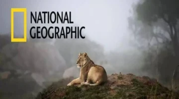 ضبط أجهزة الاستقبال.. تردد قناة ناشيونال جيوغرافيك الجديد لمتابعة أقوى البرامج الوثائقية